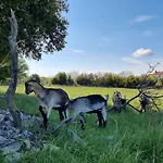 Sunrise, Coastal Istra, Pula Duga Uvala Appartamento